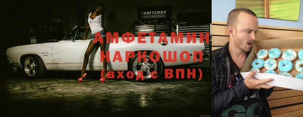 хмурый Абаза