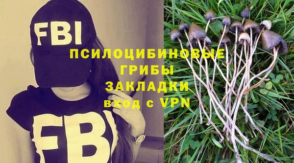 первитин Алексин