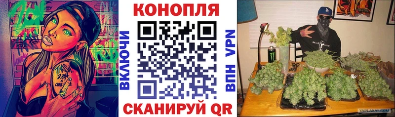 сколько стоит  Палласовка  Конопля SATIVA & INDICA 